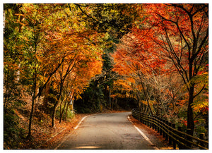 AUTUMN (NS)