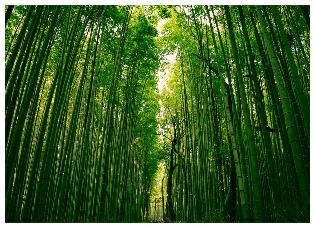 GREEN DEPTH (NS)