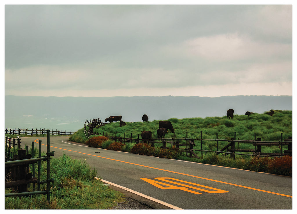 ROAD TRIP (NS)