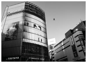 SHIBUYA (MS)